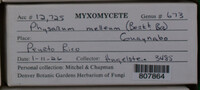 Image Associated With the Occurence
